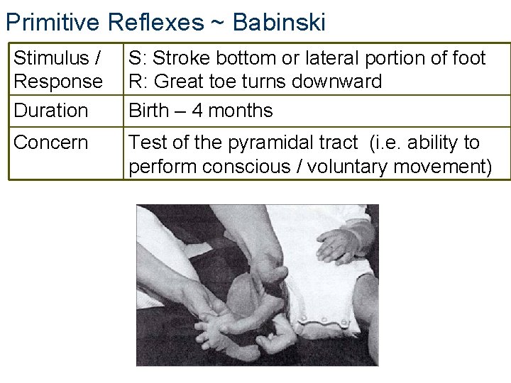 Primitive Reflexes ~ Babinski Stimulus / Response Duration S: Stroke bottom or lateral portion Primitive Reflexes ~ Babinski Stimulus / Response Duration S: Stroke bottom or lateral portion