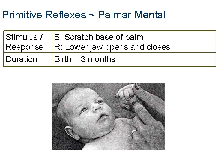 Primitive Reflexes ~ Palmar Mental Stimulus / Response Duration S: Scratch base of palm Primitive Reflexes ~ Palmar Mental Stimulus / Response Duration S: Scratch base of palm