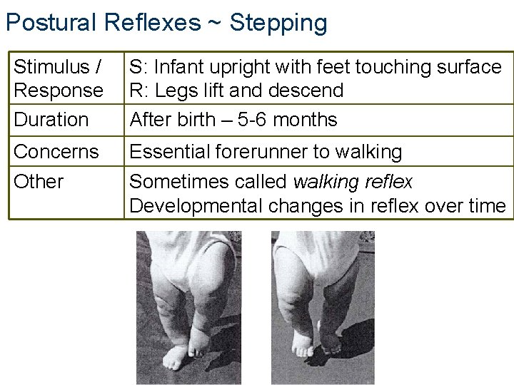 Postural Reflexes ~ Stepping Stimulus / Response Duration S: Infant upright with feet touching Postural Reflexes ~ Stepping Stimulus / Response Duration S: Infant upright with feet touching