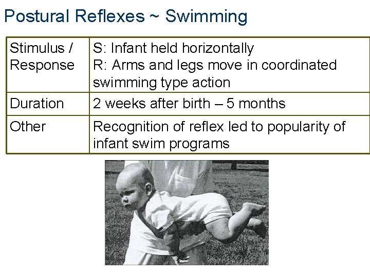 Postural Reflexes ~ Swimming Stimulus / Response Duration Other S: Infant held horizontally R: Postural Reflexes ~ Swimming Stimulus / Response Duration Other S: Infant held horizontally R: