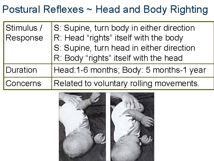 Postural Reflexes ~ Head and Body Righting Stimulus / Response Duration S: Supine, turn Postural Reflexes ~ Head and Body Righting Stimulus / Response Duration S: Supine, turn