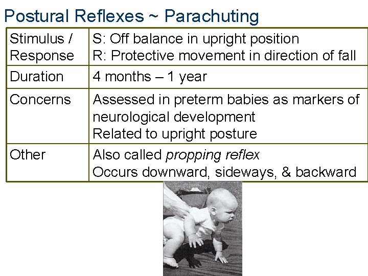 Postural Reflexes ~ Parachuting Stimulus / Response Duration S: Off balance in upright position Postural Reflexes ~ Parachuting Stimulus / Response Duration S: Off balance in upright position