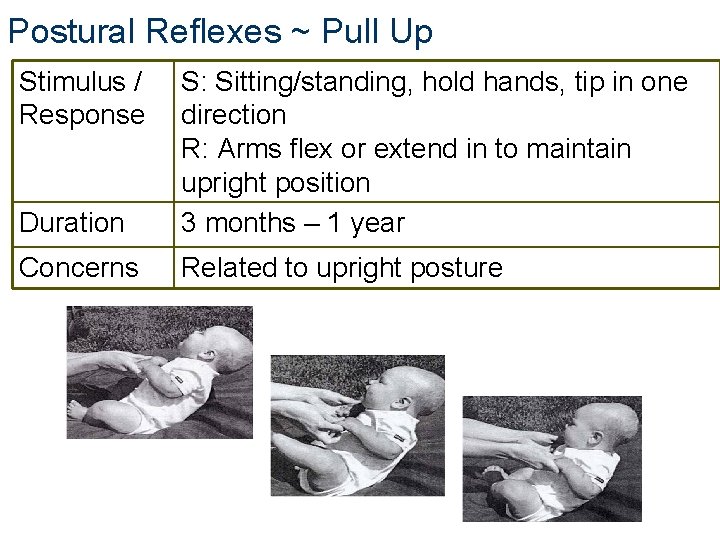 Postural Reflexes ~ Pull Up Stimulus / Response Duration S: Sitting/standing, hold hands, tip Postural Reflexes ~ Pull Up Stimulus / Response Duration S: Sitting/standing, hold hands, tip