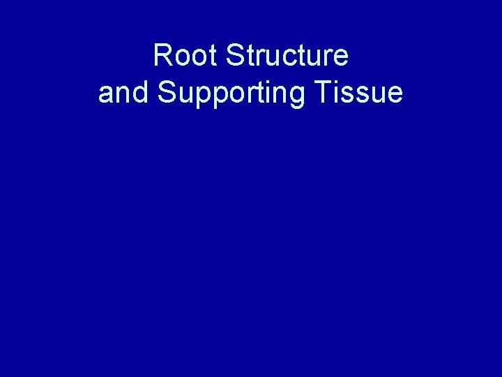 Root Structure and Supporting Tissue 
