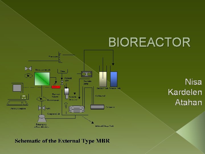 BIOREACTOR Nisa Kardelen Atahan 