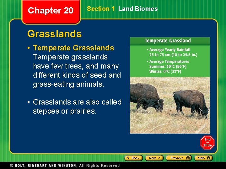 Chapter 20 Section 1 Land Biomes Grasslands • Temperate Grasslands Temperate grasslands have few Chapter 20 Section 1 Land Biomes Grasslands • Temperate Grasslands Temperate grasslands have few