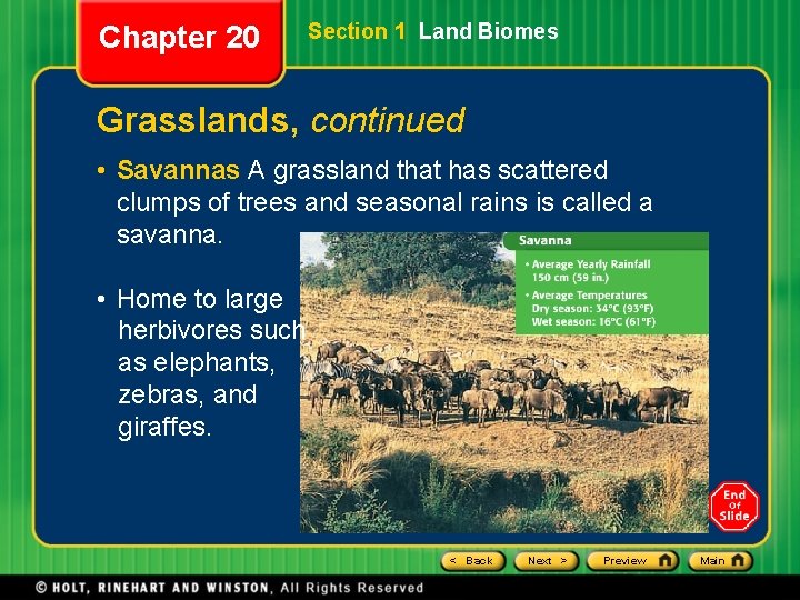 Chapter 20 Section 1 Land Biomes Grasslands, continued • Savannas A grassland that has Chapter 20 Section 1 Land Biomes Grasslands, continued • Savannas A grassland that has