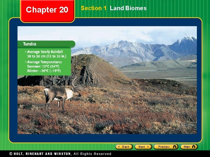 Chapter 20 Section 1 Land Biomes < Back Next > Preview Main Chapter 20 Section 1 Land Biomes < Back Next > Preview Main