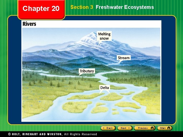 Chapter 20 Section 3 Freshwater Ecosystems < Back Next > Preview Main Chapter 20 Section 3 Freshwater Ecosystems < Back Next > Preview Main