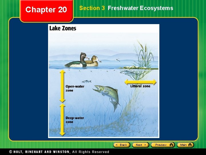 Chapter 20 Section 3 Freshwater Ecosystems < Back Next > Preview Main Chapter 20 Section 3 Freshwater Ecosystems < Back Next > Preview Main