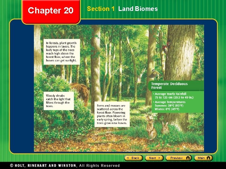 Chapter 20 Section 1 Land Biomes < Back Next > Preview Main Chapter 20 Section 1 Land Biomes < Back Next > Preview Main