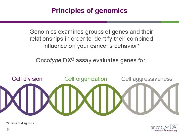 Principles of genomics Genomics examines groups of genes and their relationships in order to