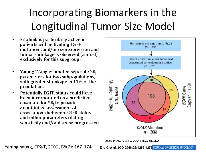 Incorporating Biomarkers in the Longitudinal Tumor Size Model • Erlotinib is particularly active in