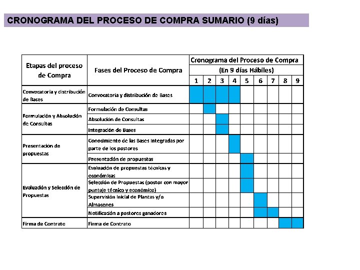 CRONOGRAMA DEL PROCESO DE COMPRA SUMARIO (9 días) 