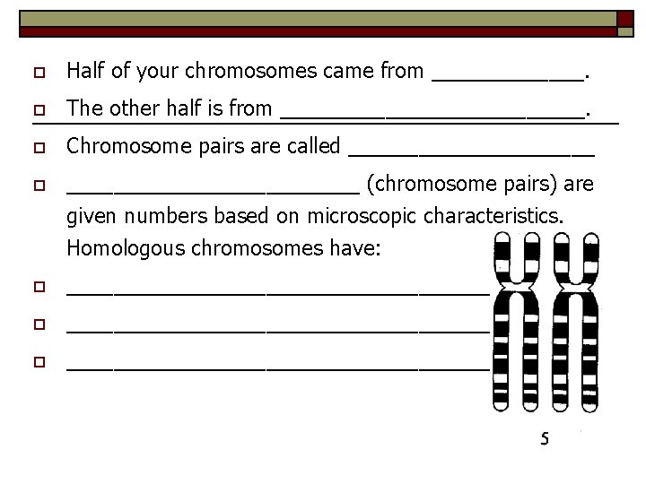 o Half of your chromosomes came from _______. o The other half is from