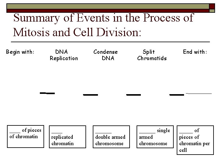 Summary of Events in the Process of Mitosis and Cell Division: Begin with: ____