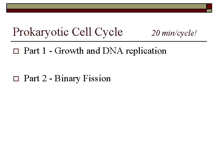 Prokaryotic Cell Cycle 20 min/cycle! o Part 1 - Growth and DNA replication o