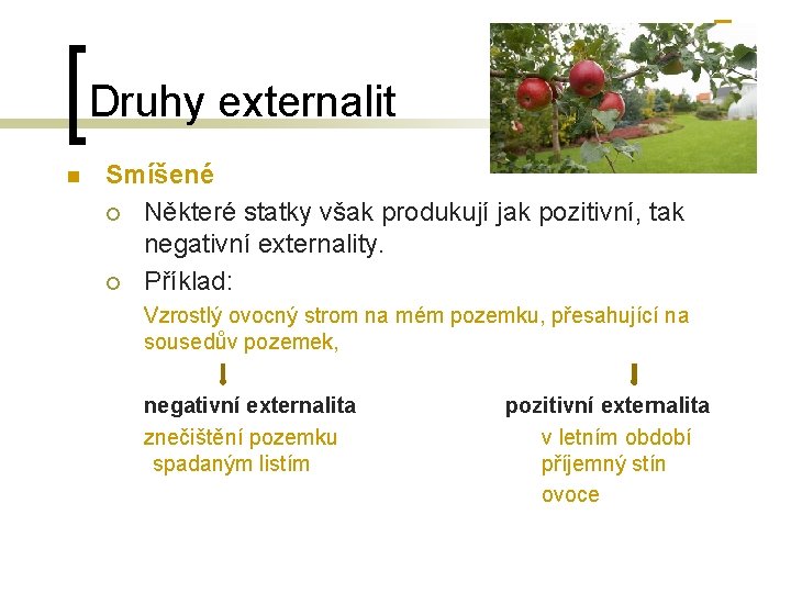 Druhy externalit n Smíšené ¡ Některé statky však produkují jak pozitivní, tak negativní externality.