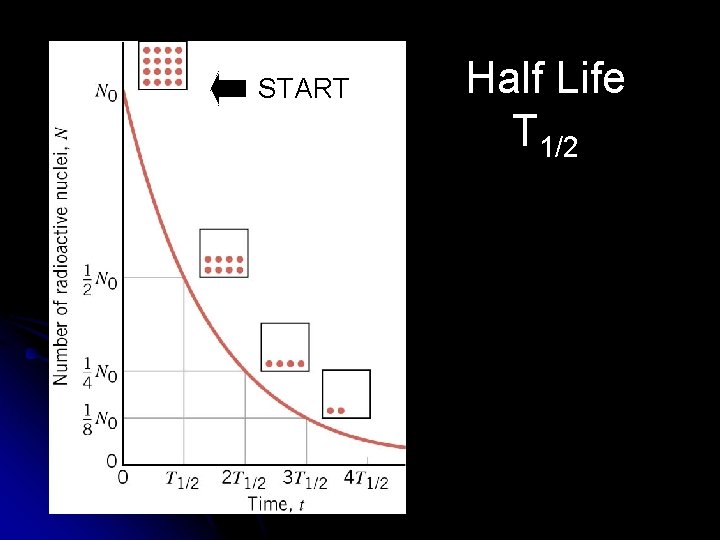 START Half Life T 1/2 