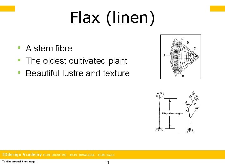 Flax (linen) • A stem fibre • The oldest cultivated plant • Beautiful lustre