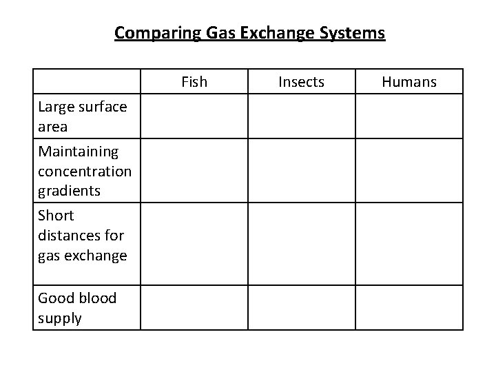 Comparing Gas Exchange Systems Fish Large surface area Maintaining concentration gradients Short distances for Comparing Gas Exchange Systems Fish Large surface area Maintaining concentration gradients Short distances for