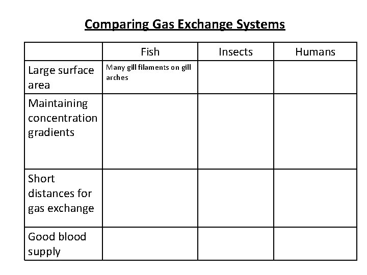 Comparing Gas Exchange Systems Fish Large surface area Maintaining concentration gradients Many gill filaments Comparing Gas Exchange Systems Fish Large surface area Maintaining concentration gradients Many gill filaments
