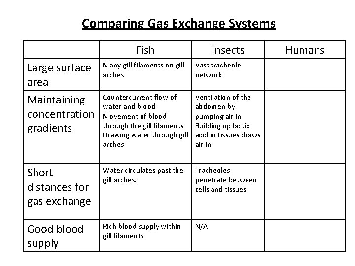Comparing Gas Exchange Systems Fish Insects Large surface area Maintaining concentration gradients Many gill Comparing Gas Exchange Systems Fish Insects Large surface area Maintaining concentration gradients Many gill