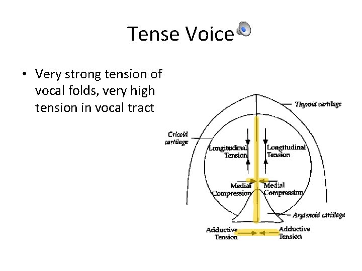 Tense Voice • Very strong tension of vocal folds, very high tension in vocal