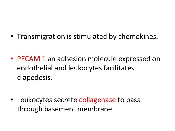  • Transmigration is stimulated by chemokines. • PECAM 1 an adhesion molecule expressed
