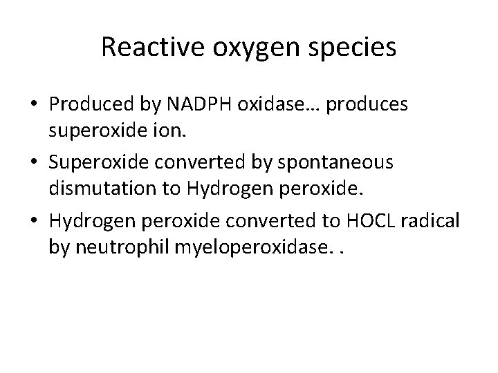 Reactive oxygen species • Produced by NADPH oxidase… produces superoxide ion. • Superoxide converted