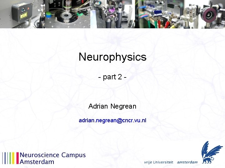 Neurophysics - part 2 - Adrian Negrean adrian. negrean@cncr. vu. nl 
