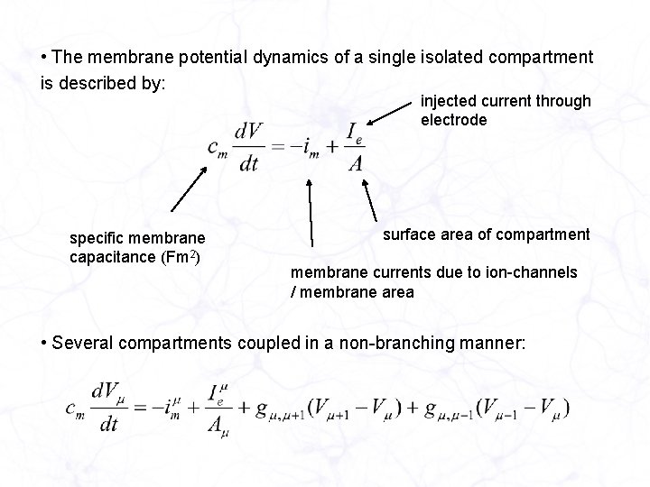  • The membrane potential dynamics of a single isolated compartment is described by: