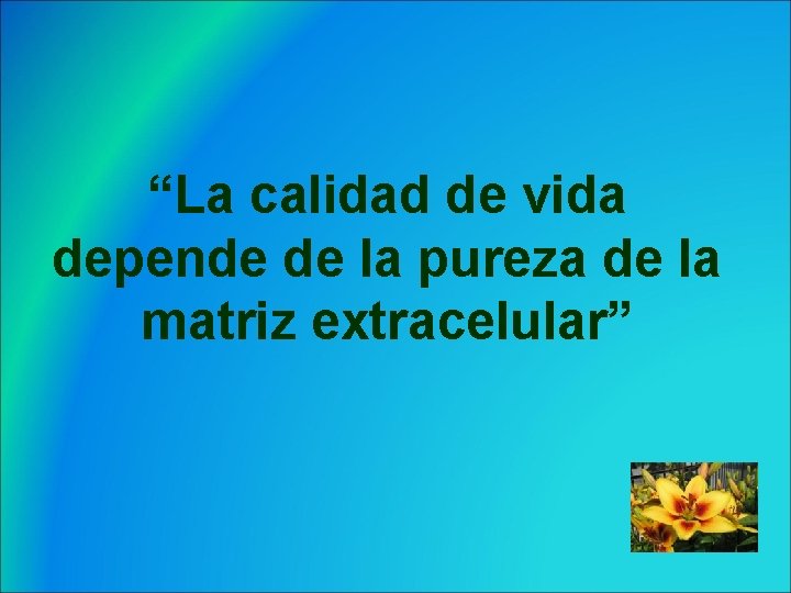 “La calidad de vida depende de la pureza de la matriz extracelular” 