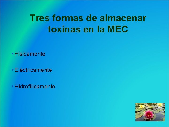 Tres formas de almacenar toxinas en la MEC • Físicamente • Eléctricamente • Hidrofílicamente