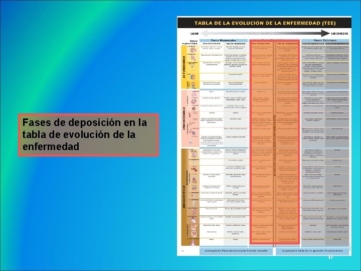 Fases de deposición en la tabla de evolución de la enfermedad 17 