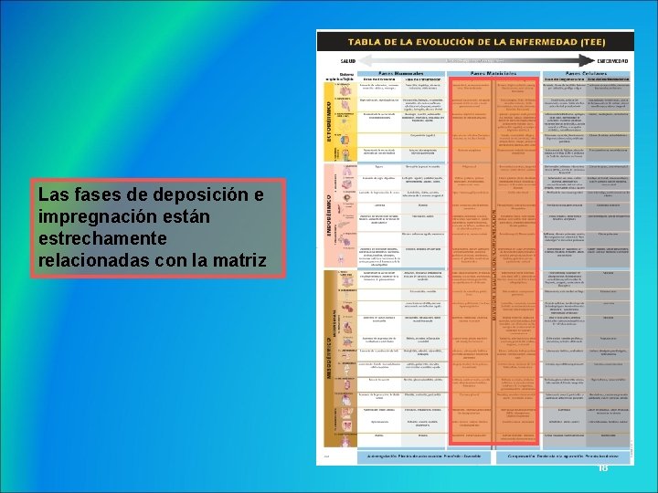 Las fases de deposición e impregnación están estrechamente relacionadas con la matriz 18 