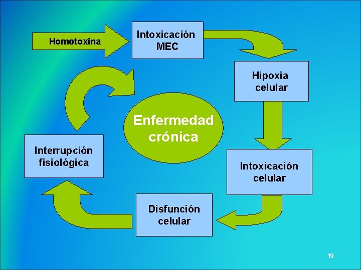 Homotoxina Intoxicación MEC Hipoxia celular Enfermedad crónica Interrupción fisiológica Intoxicación celular Disfunción celular 19