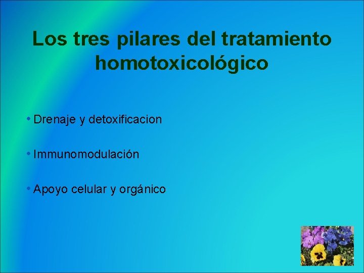Los tres pilares del tratamiento homotoxicológico • Drenaje y detoxificacion • Immunomodulación • Apoyo
