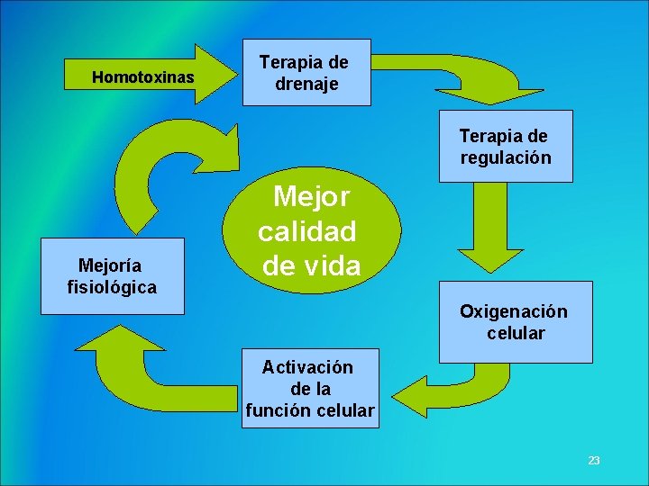 Homotoxinas Terapia de drenaje Terapia de regulación Mejoría fisiológica Mejor calidad de vida Oxigenación