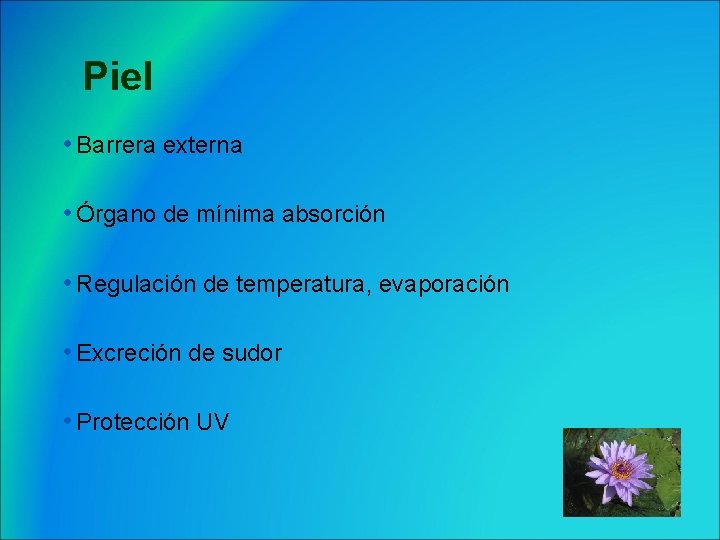 Piel • Barrera externa • Órgano de mínima absorción • Regulación de temperatura, evaporación
