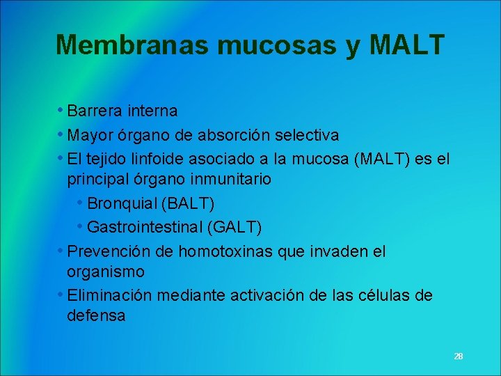 Membranas mucosas y MALT • Barrera interna • Mayor órgano de absorción selectiva •