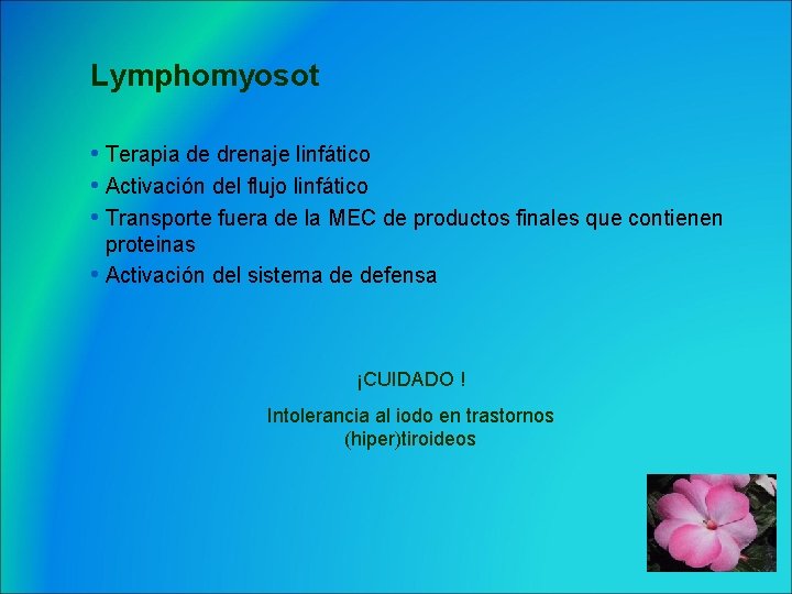 Lymphomyosot • Terapia de drenaje linfático • Activación del flujo linfático • Transporte fuera
