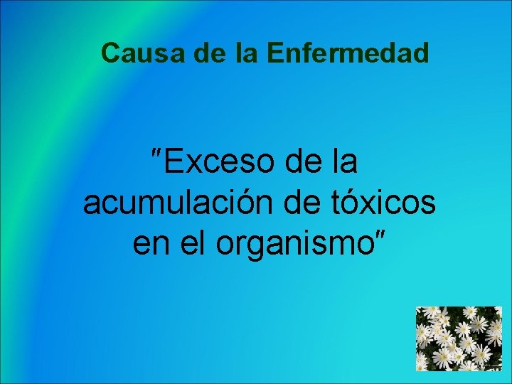 Causa de la Enfermedad ″Exceso de la acumulación de tóxicos en el organismo″ 7