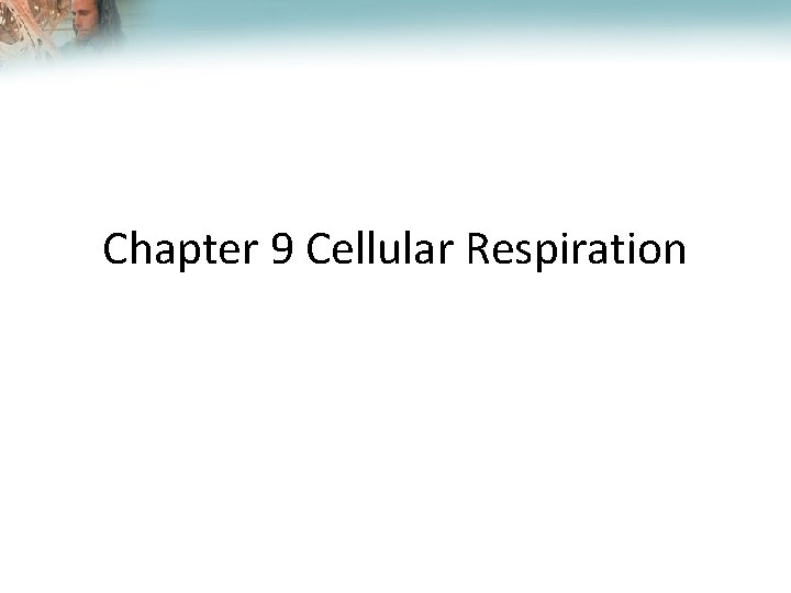 Lesson Overview Cellular Respiration: An Overview Chapter 9 Cellular Respiration 