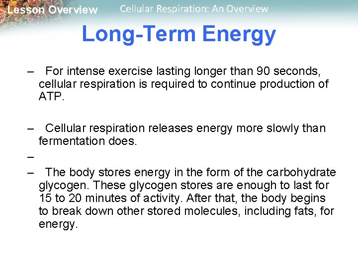 Lesson Overview Cellular Respiration: An Overview Long-Term Energy – For intense exercise lasting longer