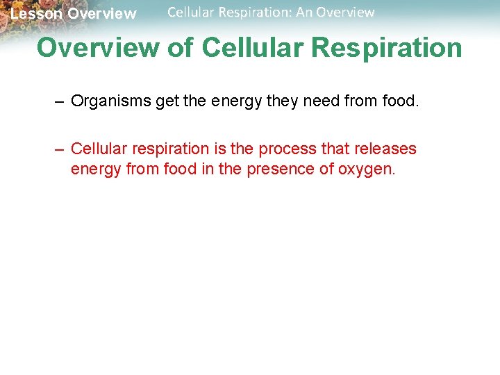 Lesson Overview Cellular Respiration: An Overview of Cellular Respiration – Organisms get the energy