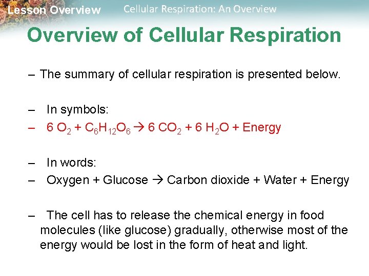 Lesson Overview Cellular Respiration: An Overview of Cellular Respiration – The summary of cellular