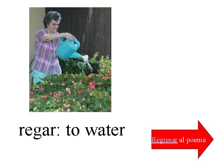 regar: to water Regresar al poema 