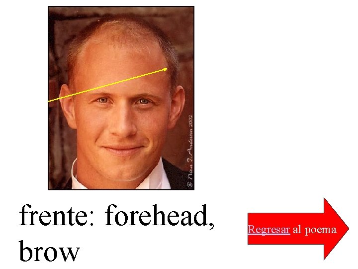 frente: forehead, brow Regresar al poema 