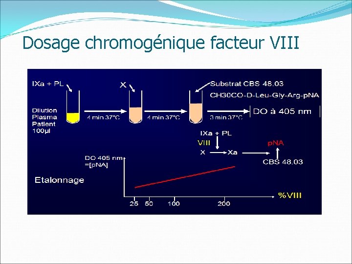 Dosage chromogénique facteur VIII 